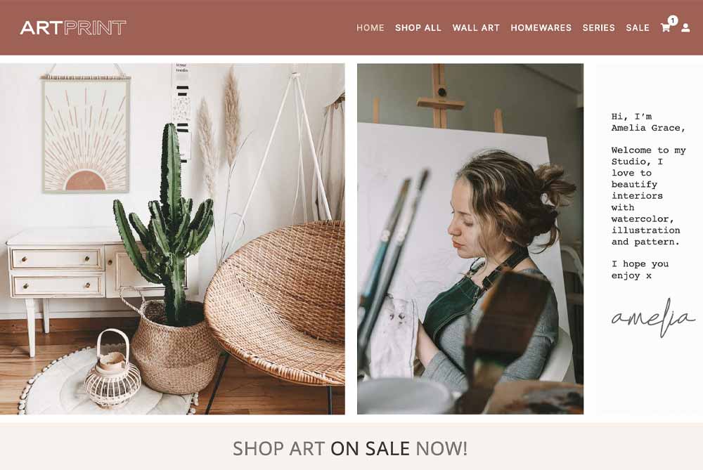 Artist Budget Website Design With Print On Demand & WordPress